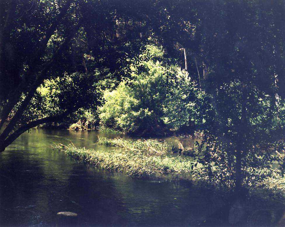 Paradisiaco Umia Meis المظهر الخارجي الصورة